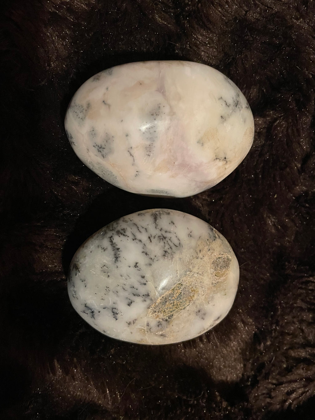 Dendritic Opal Palm Stone