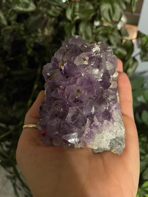 Amethyst - Specimen